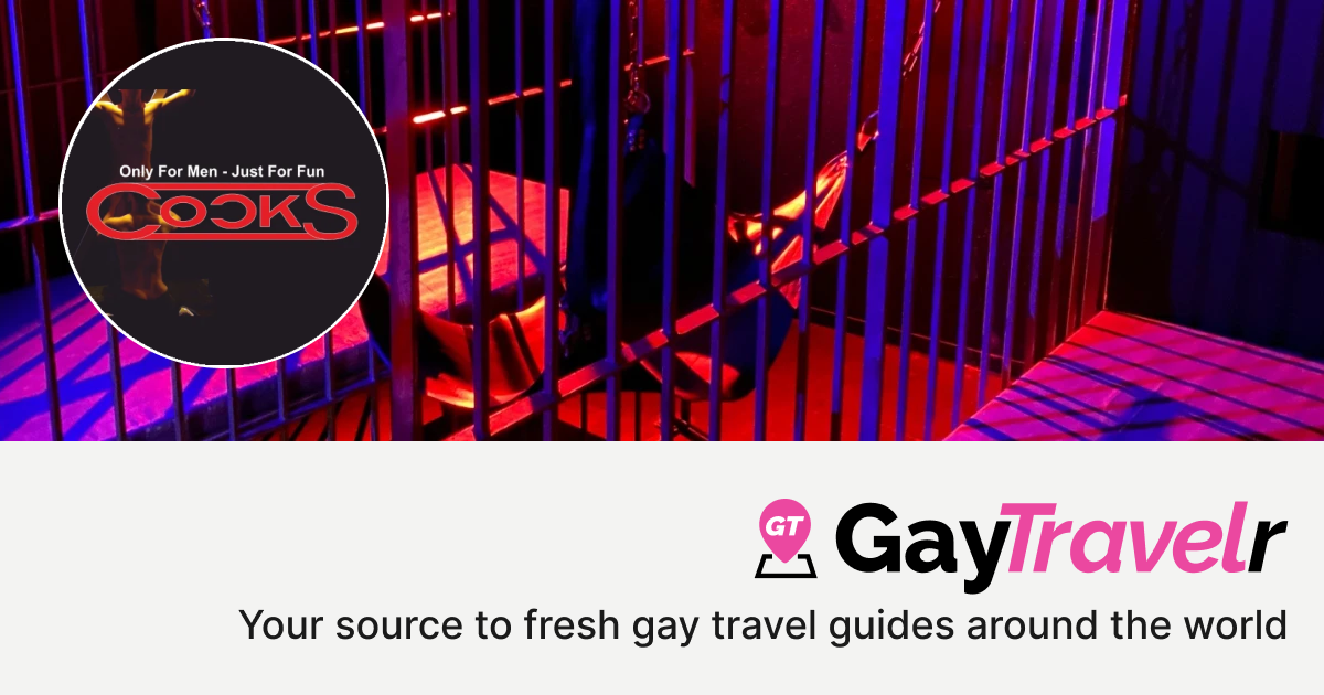 COCKS Gay Bar In Leipzig Germany GayTravelr