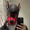 pupjoystick