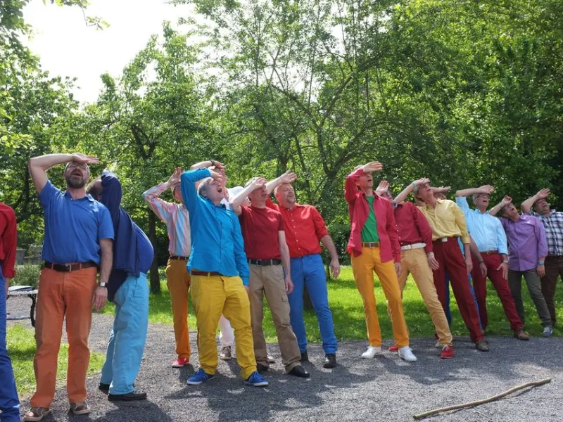 Vox Rosa — Organizations in The Hague
