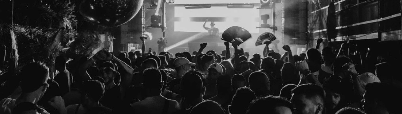El Mozo — Parties in Bogota