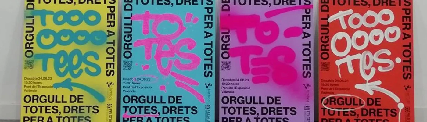 Lambda —Col·lectiu LGTB+ per la diversitat sexual, de gènere i familiar — Organizations in Valencia