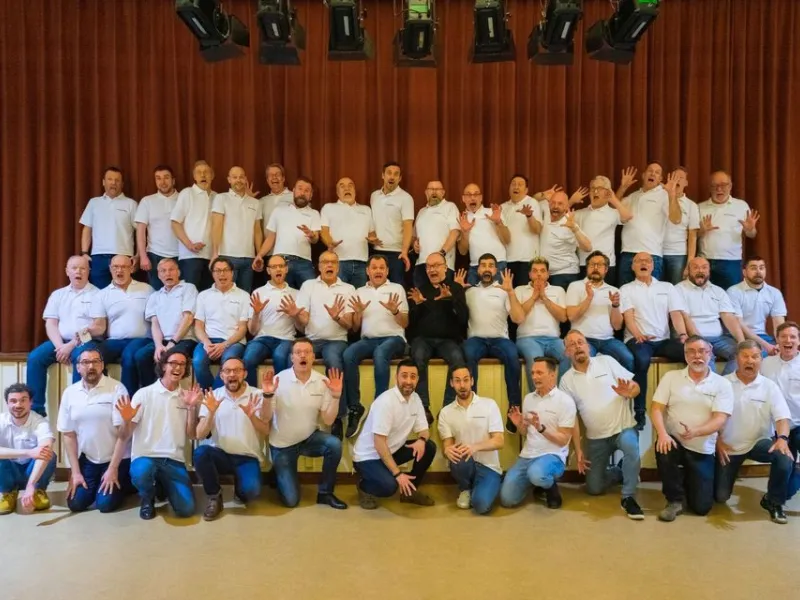 SCHOLA CANTOROSA Schwuler Männerchor Hamburg e.V. — Organizations in Hamburg