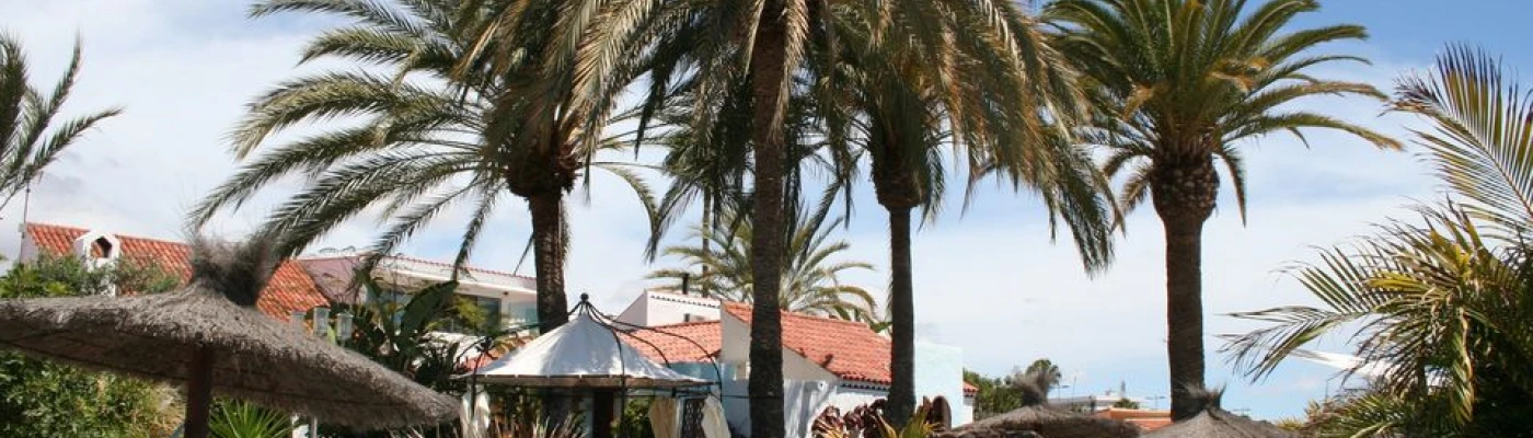 Birdcage Resort Gay Hotel — Hotels in Gran Canaria