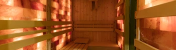 Cover image for Magnum Sauna