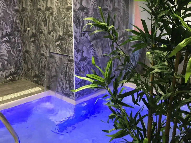 Fenix Sauna Milano — Saunas in Milan