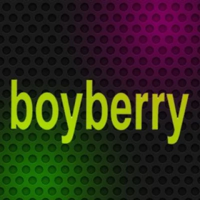 Boyberry logo