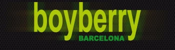 Cover image for Boyberry