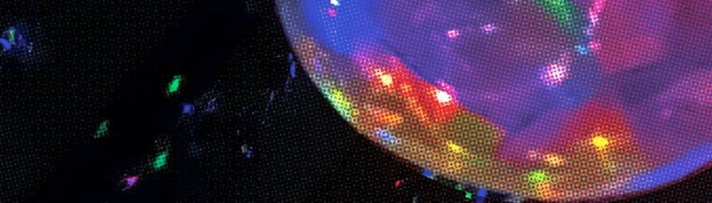 Q Club — Bars & Clubs in Milan