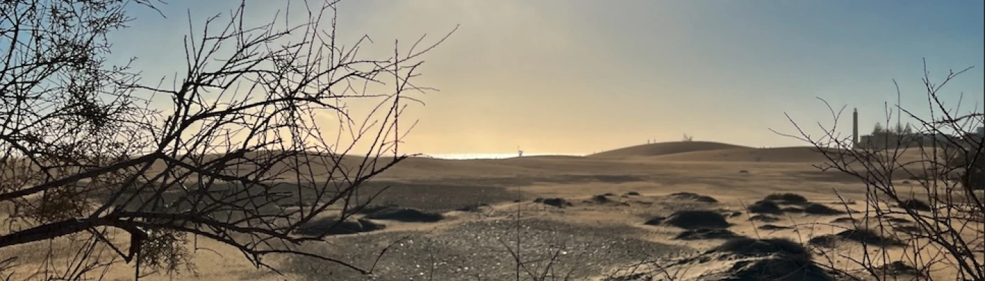Dunas de Maspalomas — Gay & Nude beaches in Gran Canaria