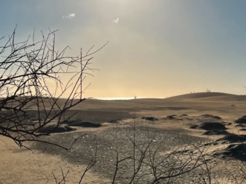 Dunas de Maspalomas — Gay & Nude beaches in Gran Canaria