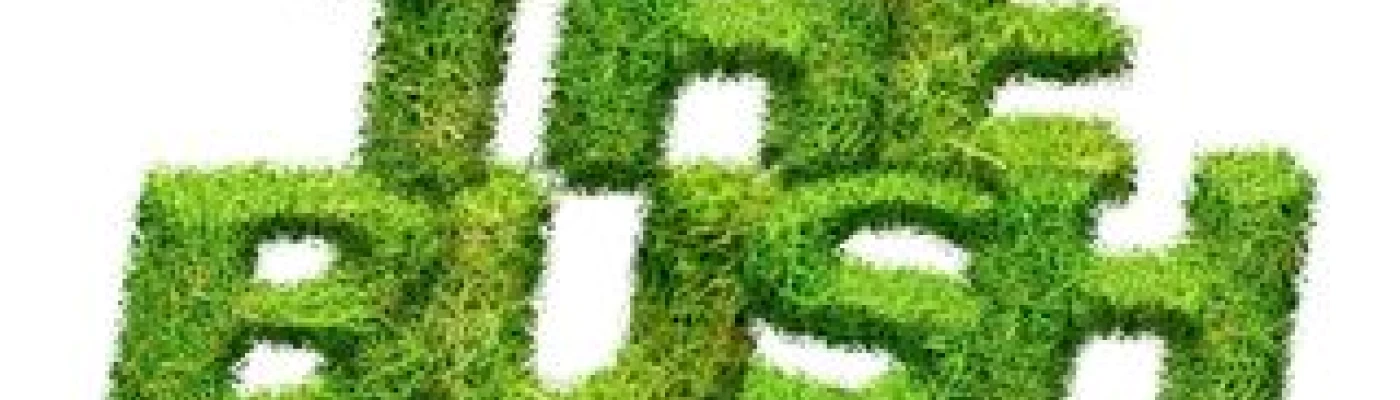 The Bush — Bars & Clubs in New York
