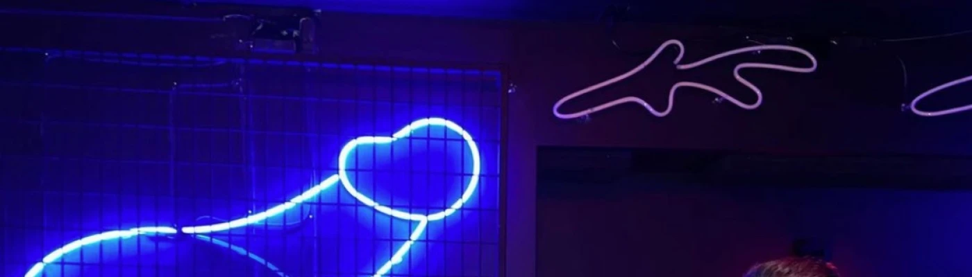 FLEX — Bars & Clubs in New York