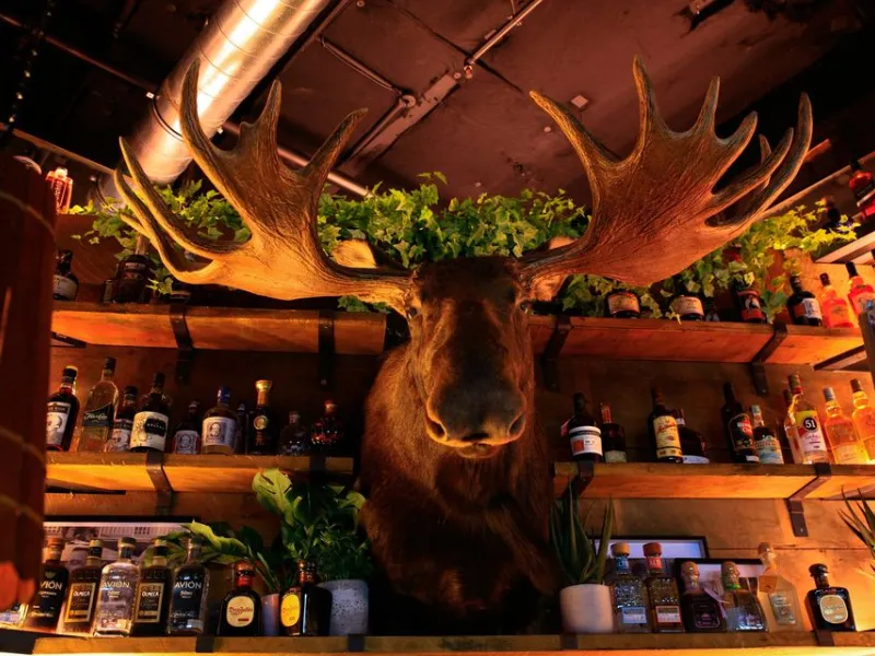 Little Headquarters — Bars & Clubs in Auckland