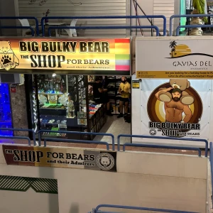 Big Bulky Bear