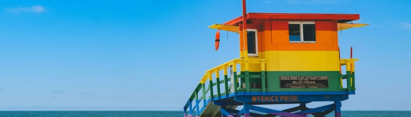 Venice Pride — Organizations in Los Angeles