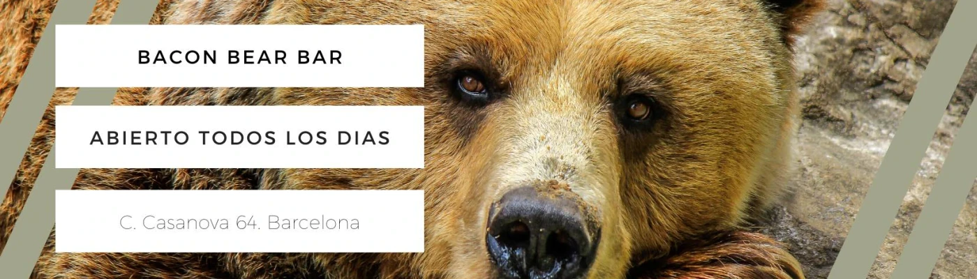 Bacon Bear Bar — Bars & Clubs in Barcelona