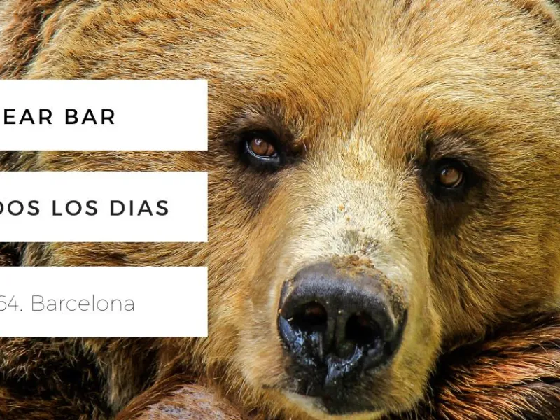 Bacon Bear Bar — Bars & Clubs in Barcelona