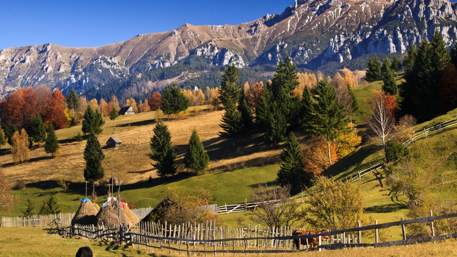 Gay travel guide to Romania — cover photo