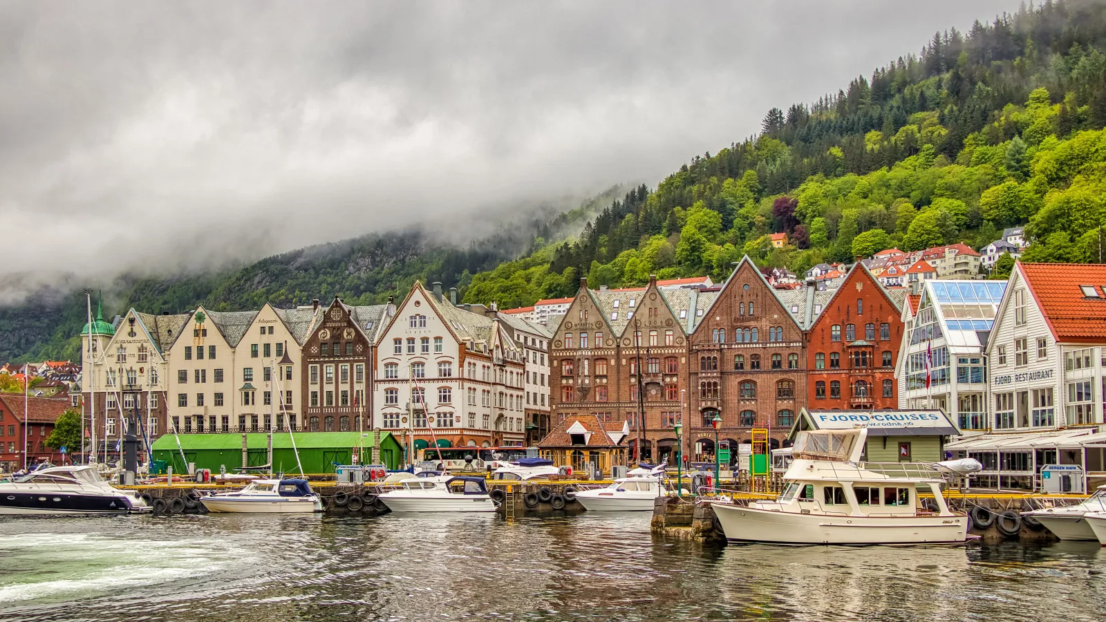 Gay Bergen, Norway — cover photo