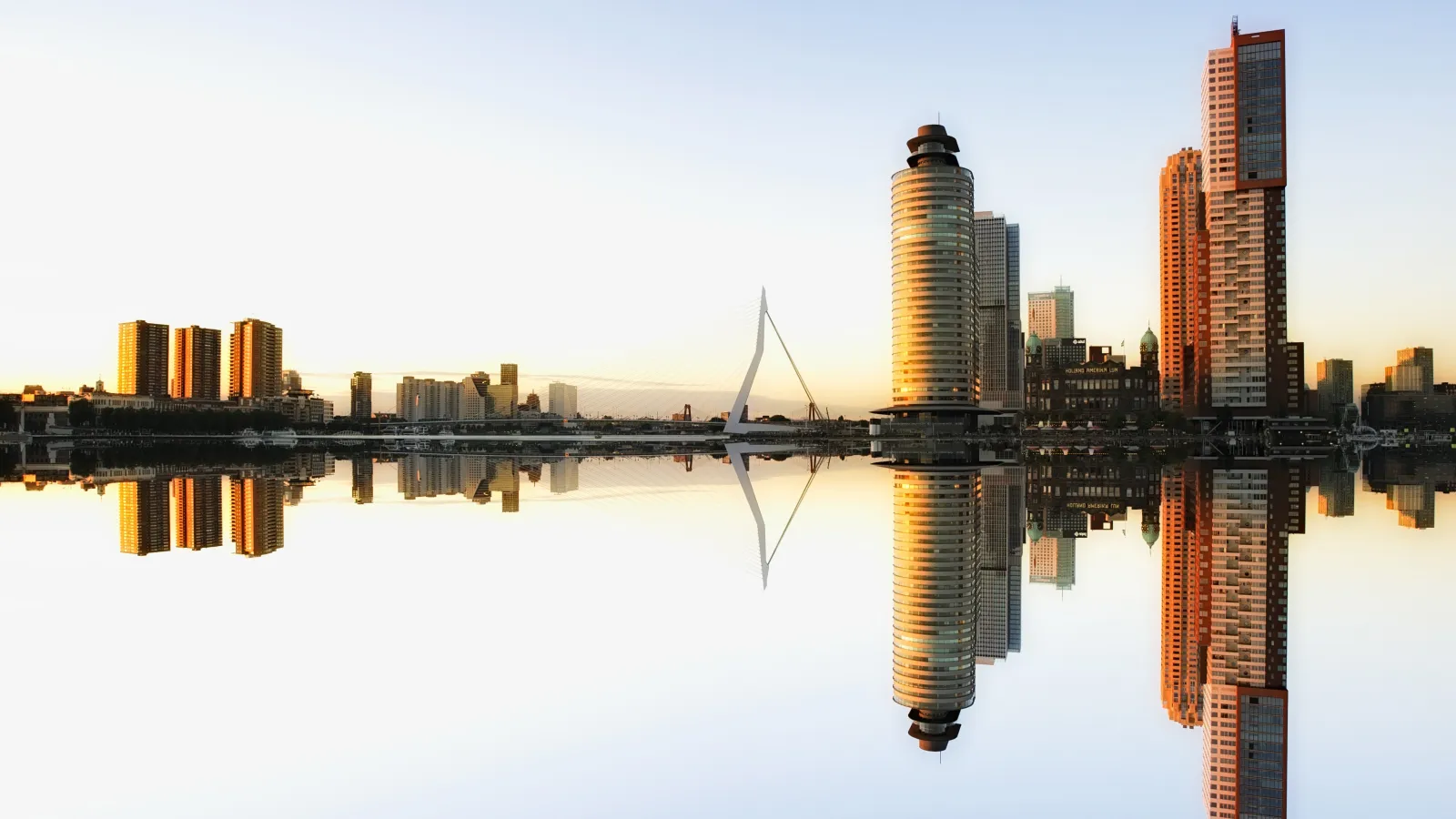 Gay Organizations in Rotterdam — cover photo