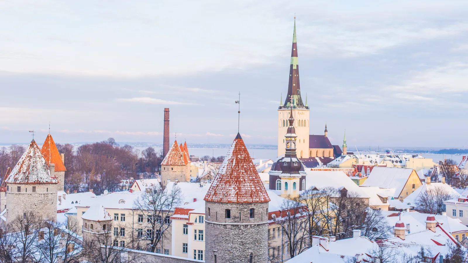 Gay Shopping in Tallinn — cover photo