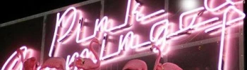 Cover image for Pink Flamingo Bar