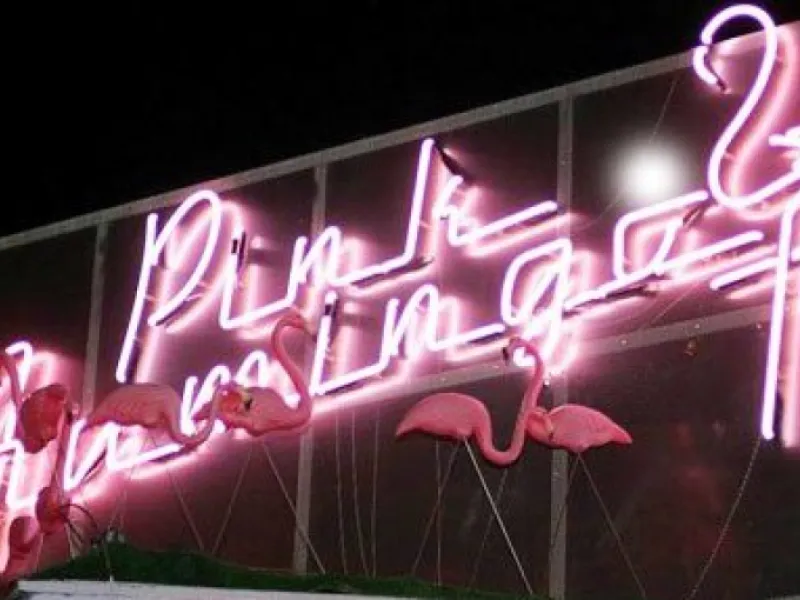 Pink Flamingo Bar — Restaurants & Cafés in Zagreb
