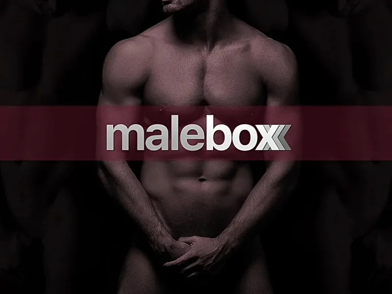 Malebox — Cruise Bars in New York