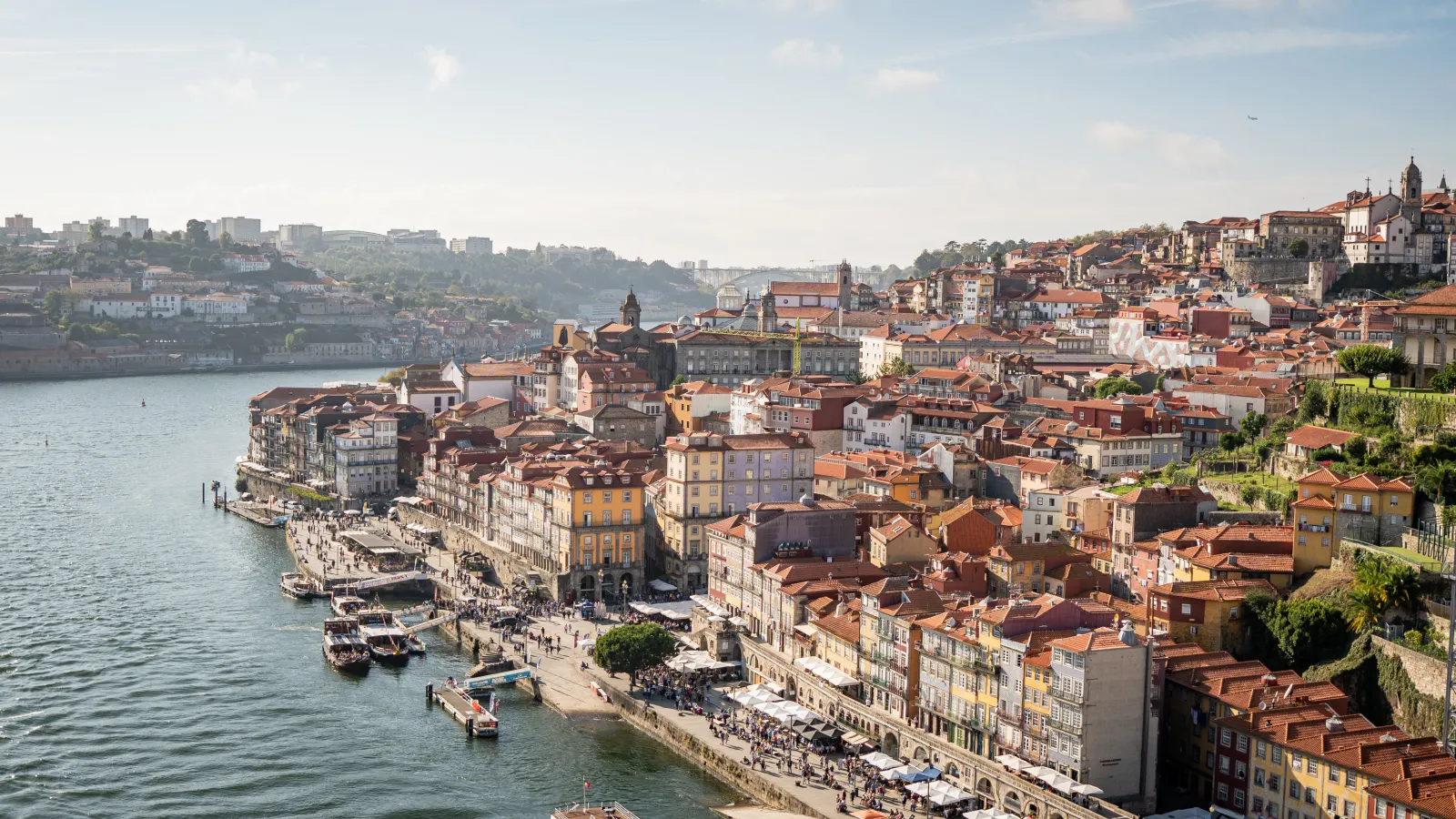 Gay Wellness in Porto — cover photo