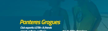 Cover image for Panteres Grogues