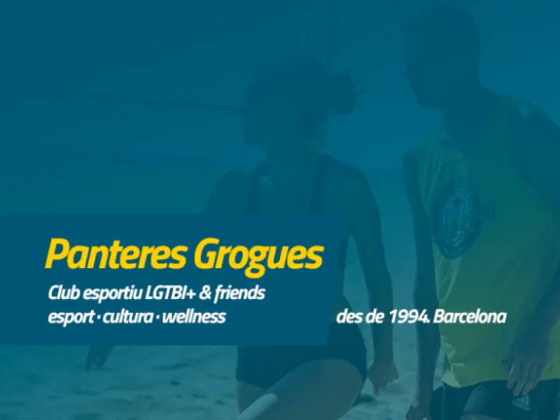Panteres Grogues — Organizations in Barcelona