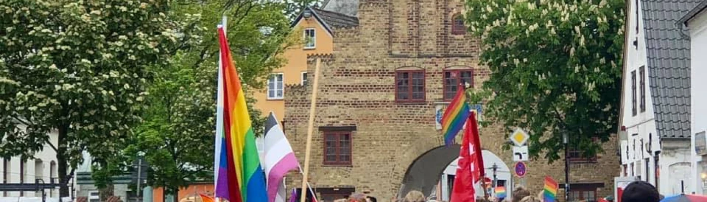 Lesben- und Schwulenverband in Deutschland (LSVD) Landesverband Schleswig-Holstein e.V. — Organizations in Hamburg