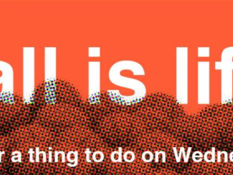 Toronto Gay Basketball Association — Organizations in Toronto