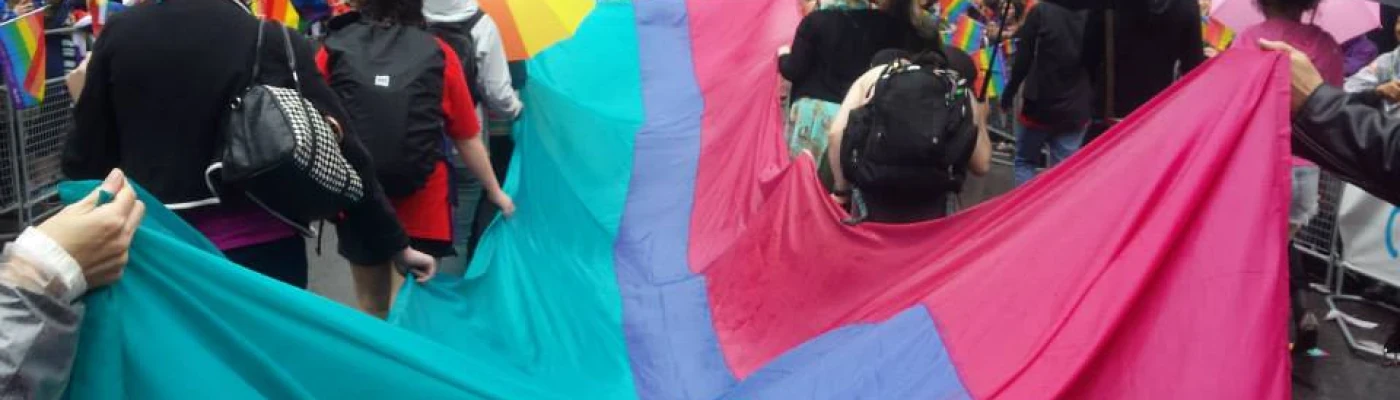 Toronto Bisexual Network — Organizations in Toronto