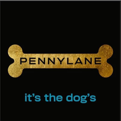 Pennylane logo