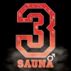 3Sauna logo