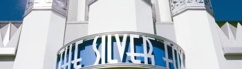 Cover image for The Silver Fox