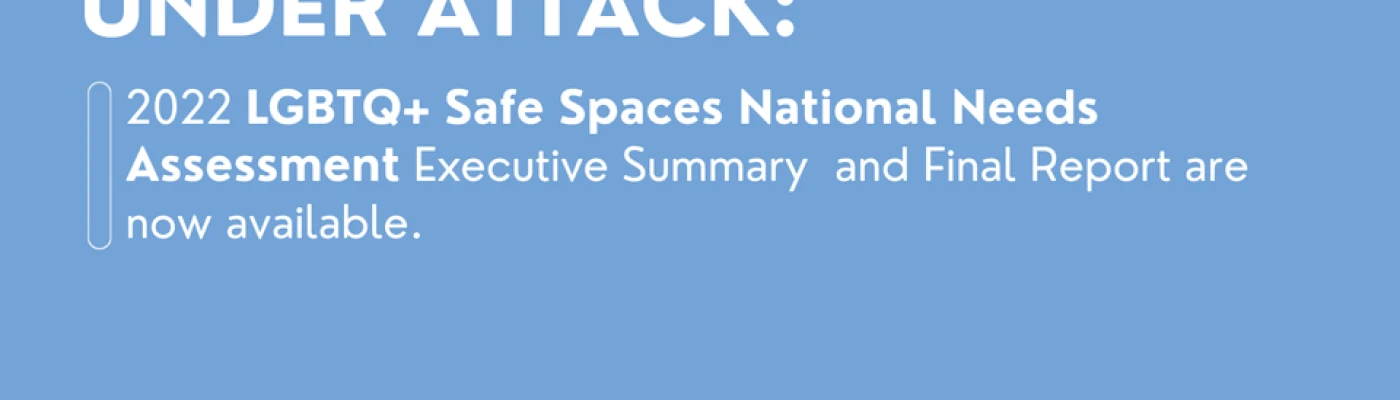 New York City Anti-Violence Project — Organizations in New York