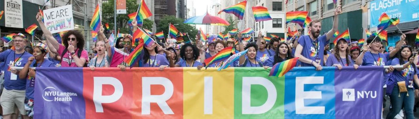 New York University LGBTQ+ Center — Organizations in New York
