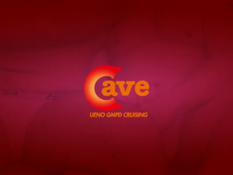 上野 cave — Cruise Bars in Tokyo