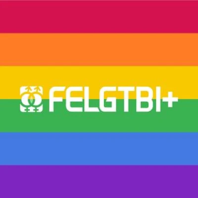 FELGTBI+ logo