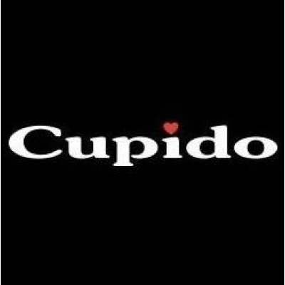 Sexshop Bioscoop Cupido Eindhoven logo