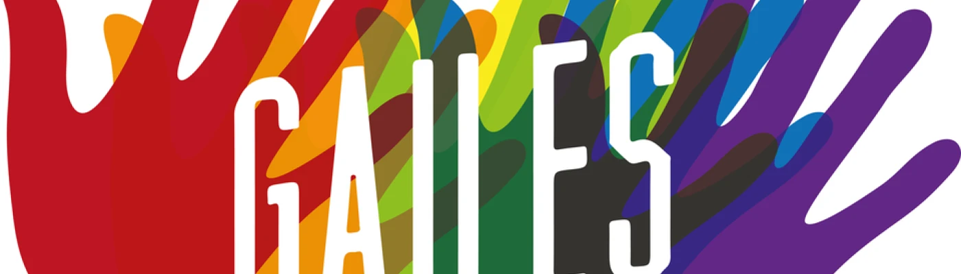 Asociacion Gailes ribera del Xuquer LGTBIQ — Organizations in Valencia