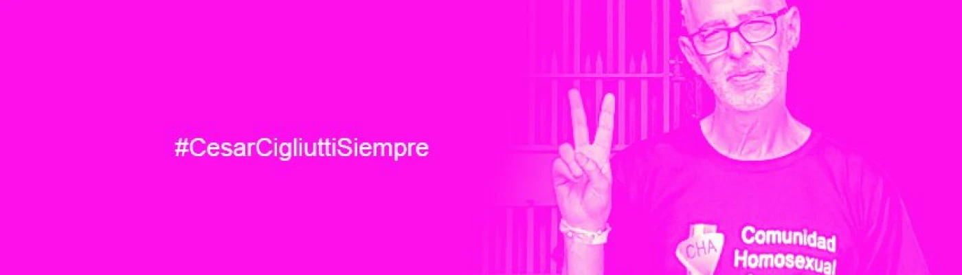 Cha - Comunidad Homosexual Argentina — Organizations in Buenos Aires