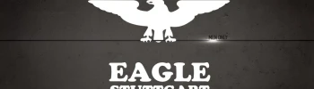 Cover image for Eagle