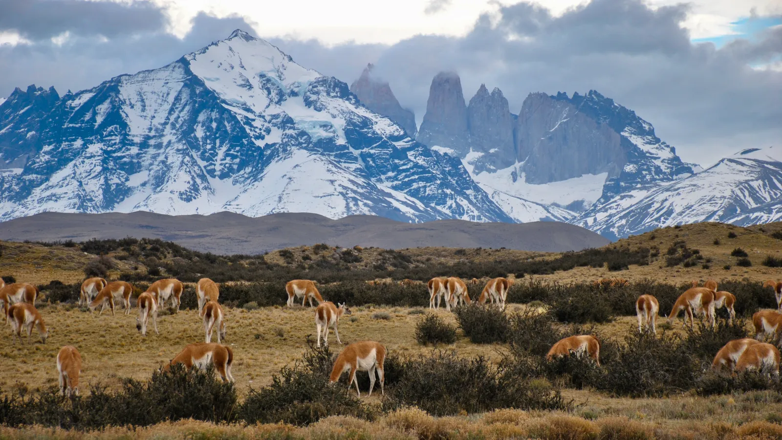 Gay travel guide to Chile — cover photo