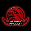 Falcon North logo