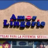 Amor Lingerie Sex Shop - Washington Blvd logo