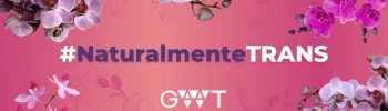 Cover image for Fundación GAAT - Grupo de Acción y Apoyo a Personas Trans