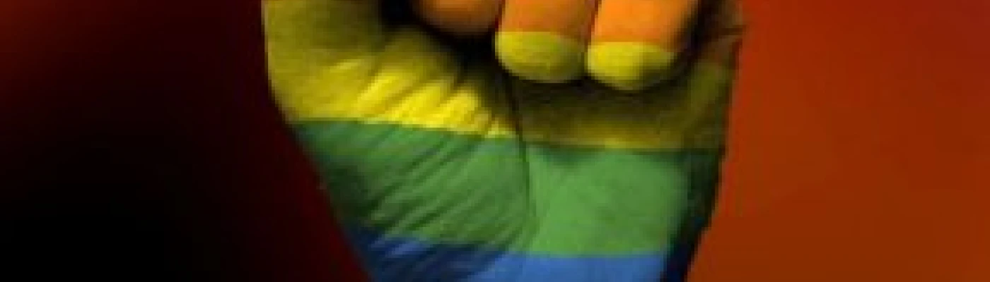 Movimiento de Integración y Liberación Homosexual MOVILH — Organizations in Santiago